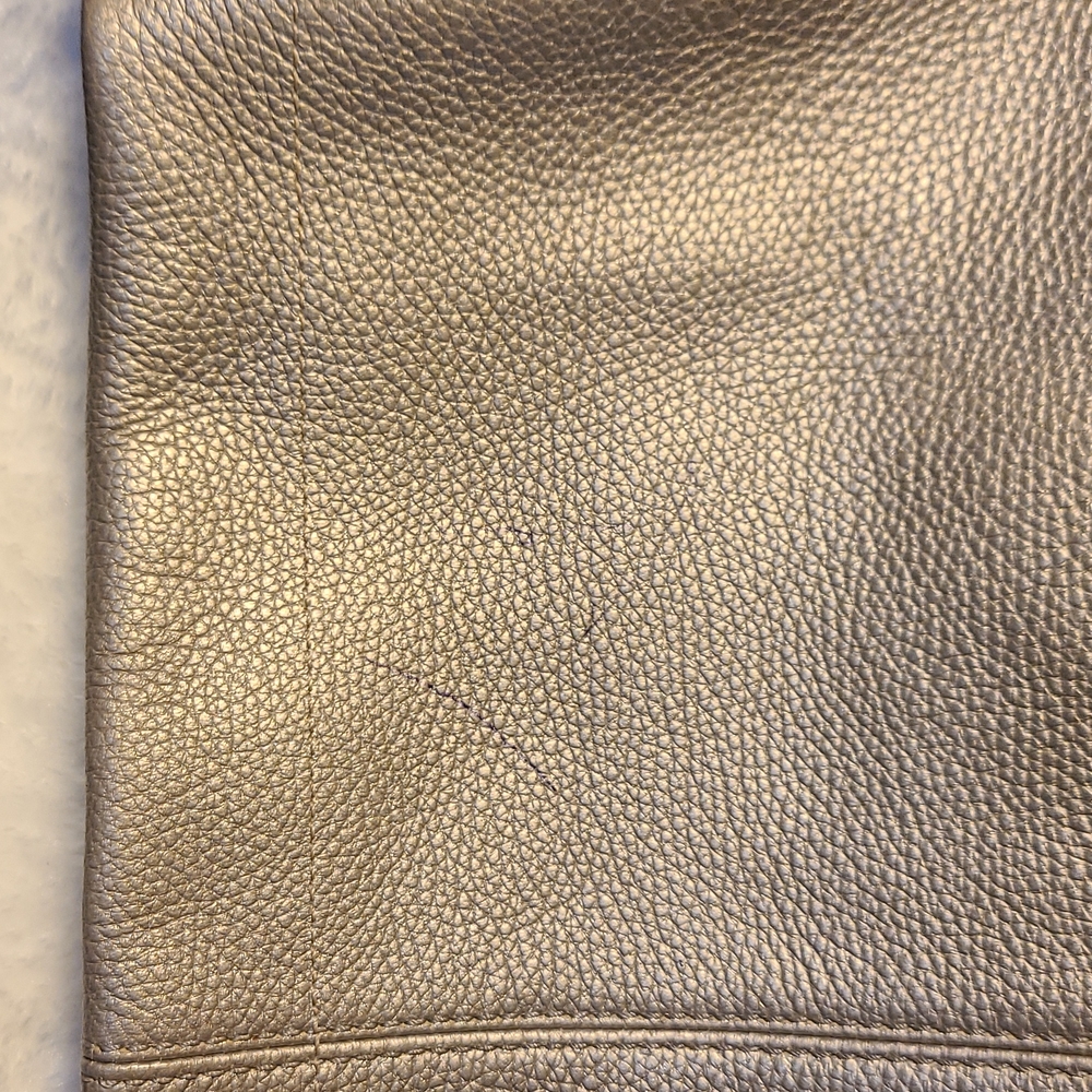 Metallic COACH Bag - Picture 11 of 11
